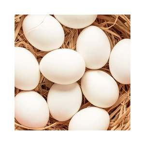 Huevos de gallina frescos de granja, con cáscara blanca, de colores variados, origen de la granja, a la venta a precio económico. - Product Image 6