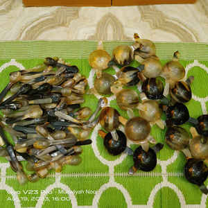 ชามสลัดควายฮอร์นทำด้วยมือดีไซน์ใหม่ชามสลัด - Product Image 3