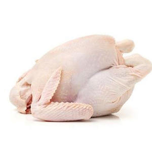 Pollo Congelado Halal de Primera Calidad, Carne de Pollo de Alta Calidad para Exportación al por Mayor - Product Image 4