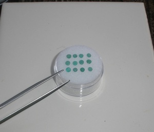 12 émeraudes colombiennes, pierres précieuses naturelles facettées, 3 mm chacune - Product Image 3