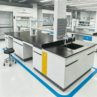 Sistema de Mobiliario de Laboratorio de Acero Pintado, Banco Central de Laboratorio con Gabinetes Metálicos para Laboratorios de Química