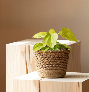 Macetas de Almacenamiento de Piso de Jacinto de Agua Natural y Algodón, Estilo Retro, Hechas a Mano en Vietnam, Ecológicas y Duraderas - Product Image 2