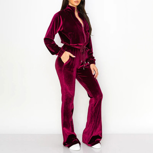 Vêtements de sport personnalisés à manches longues pour femmes, ensemble de jogging ajusté, survêtement à capuche en velours tendance - Product Image 5
