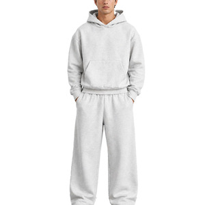 2026 Light Gray Hooded Tracksuit Full Length Solid Color Casual Autumn Wear Breathable 100% Cotton Loose Fit Side Pockets - Product Image 1