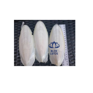 Meilleures ventes : Complément alimentaire minéral de haute qualité à base d'os de seiche, riche en calcium, à absorption rapide pour oiseaux (en vrac) - Product Image 4