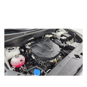 Hyundai Santa Fe Diésel 2.2 2WD Euro V 2021, Transmisión Automática, Asientos de Cuero, 55,445 km, Volante a la Izquierda - Product Image 6