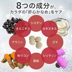 Wakan SINCA MR.LIVER - Product Image 2