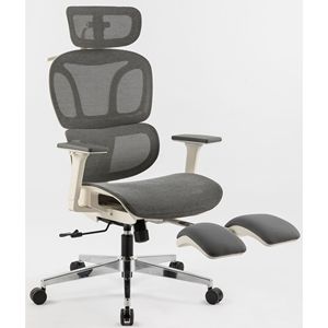 Sedia da Ufficio Ergonomica con Schienale Alto, Supporto Lombare Dinamico, Poggiatesta 2D, Braccioli 4D e Poggiapiedi - Product Image 1