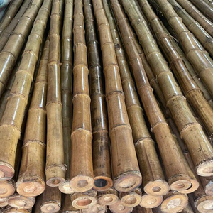 โรงงานเวียดนามผลิตเสาไม้ไผ่ธรรมชาติสำหรับรองรับต้นไม้ในสวน เสาไม้ไผ่สำหรับงานก่อสร้าง ผู้ผลิตขายส่งและส่งออก - Product Image 1