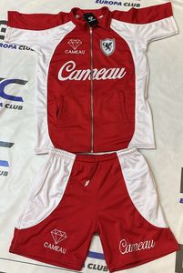 Conjunto de Pantalones Cortos para Hombre con Logotipo Bordado en Forro Polar de Poliéster Hecho a Medida, Estilo Urbano, Panel Blanco, Cierre de Cremallera - Product Image 4