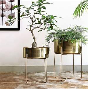 Elegante Soporte Metálico para Macetas Diseñado para Hogares Sofisticados con un Estilo Minimalista y Moderno - Product Image 3