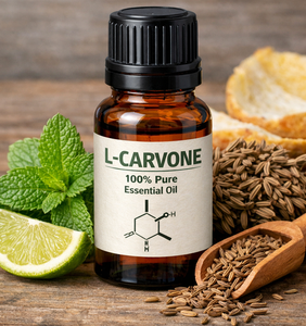 Extracto de Hierbabuena Natural L-Carvone de Alta Calidad a Granel para Aromatizantes, Pasta Dental y Formulación de Productos Herbales al por Mayor - Product Image 1