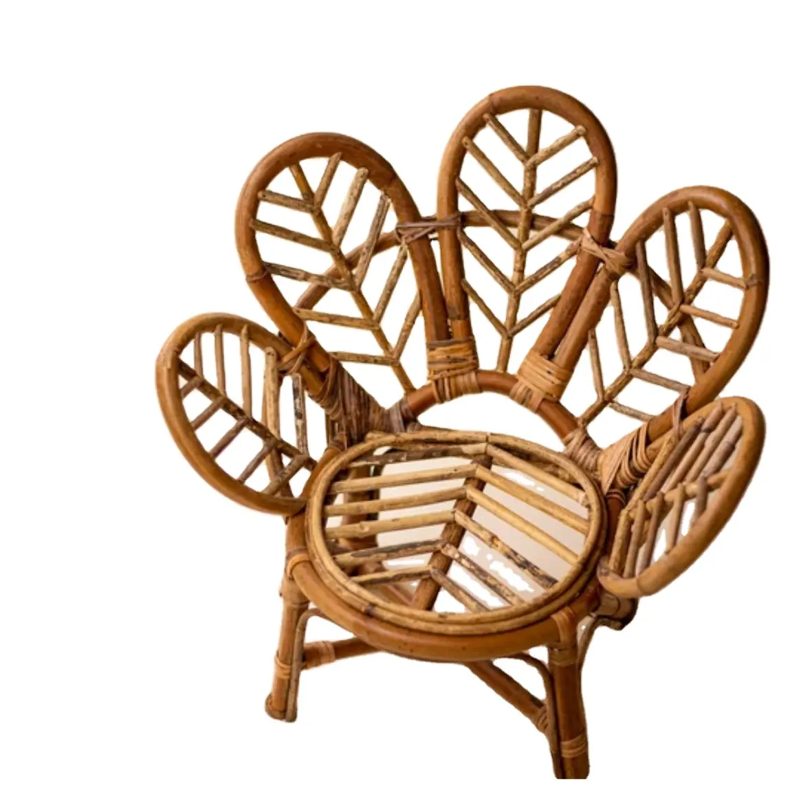 Fauteuil en rotin au Design moderne, chaise en osier de Style paon pour le jardin, le salon, le bureau, meilleurs meubles de l'inde