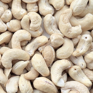 ผลิตเม็ดมะม่วงหิมพานต์ WW180, WW240, WW320, LP, WS เม็ดมะม่วงหิมพานต์อินทรีย์เม็ดมะม่วงหิมพานต์ส่งออกไปยังเอเชีย, สหภาพยุโรป, ตะวันออกกลาง - Product Image 1