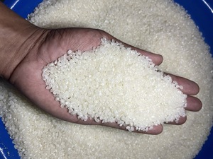 Riz Égyptien OIL POLISH / Riz Misri à Grains Courts du Vietnam |   Fournisseur de riz vietnamien Mme Ellen - Product Image 5