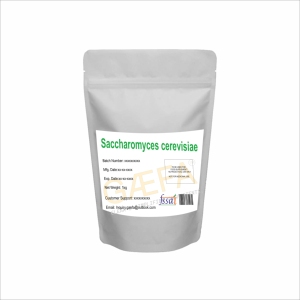 Saccharomyces Cerevisiae 5 20 BN Premium, Polvo Probiótico Estabilizador de Alta Potencia para Aditivos Alimentarios, Alimentos Funcionales, Salud Intestinal - Product Image 3
