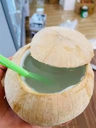 Agua de Coco Congelada en Envases a Granel al por Mayor - Product Image 2