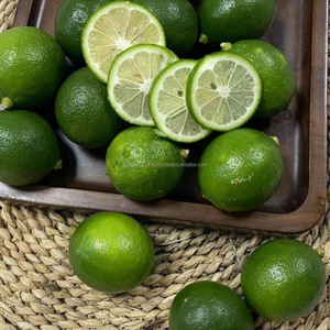 Tranches de citron vert IQF surgelées de qualité supérieure, coupées rondes, emballage en vrac de 10 kg pour la cuisine et les salades - Product Image 1
