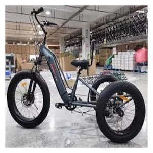 Tricycle électrique 500W prêt à être expédié, 3 roues, pneus larges, batterie au lithium 60V 48V, longue autonomie, design durable - Product Image 1