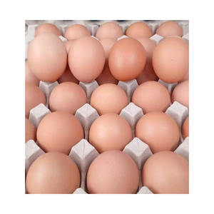 Œufs de poulet brun bio en vrac, fournisseur d'emballages, exportateur d'œufs naturels et sains pour les acheteurs mondiaux - Product Image 4