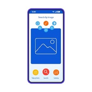 Servicios de Aplicaciones Móviles de Edición de Fotos en Línea de Calidad Superior, Desarrollador de Aplicaciones en India, Soluciones de Marketing Digital - Product Image 1