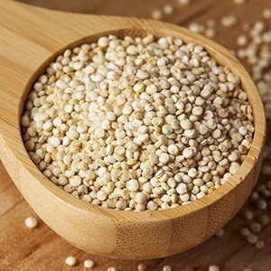 Quinoa blanc de haute qualité pour des régimes alimentaires sains, avec des grains soigneusement sélectionnés, idéal pour les boulles de céréales et les salades. - Product Image 5