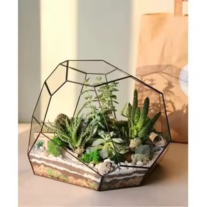 Indoor Decor Glass Metal Terrarium Planter Stylish Indoor Plant Holder Geometric Home Decoration - Product Image 6