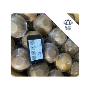 Plato de hoja de palma desechable disponible para catering, eventos, fiestas, buffet y uso alimentario en Vietnam. - Product Image 1