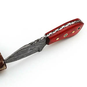 Cuchillo de Caza de Acero de Damasco de Alta Calidad, Diseño de Espiga Completa, Empuñadura de Acero de Damasco, Personalizable OEM, Garantía de 3 Años para Actividades al Aire Libre - Product Image 2