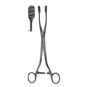 Pinzas uterinas Collin de 250 mm con mandíbulas ovaladas grandes y puntas fenestradas, instrumentos quirúrgicos OB/GYN, elevador uterino reutilizable de 10 pulgadas - Product Image 1