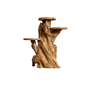 ARTERRA Support de Présentation en Bois Massif Artisanal Rustique en Racine de Teck Bio de Qualité Supérieure pour Décoration Intérieure/Extérieure pour Diwali - Product Image 2