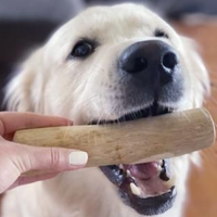 Tongkat Kunyah Anjing dari Kayu Kopi Alami Ramah Lingkungan, Tahan Lama, Aman, untuk Pengunyah Agresif