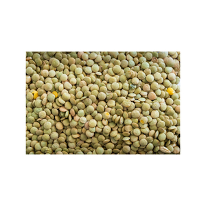 Lentilles vertes de qualité export en vrac, livraison rapide et approvisionnement fiable - Product Image 5