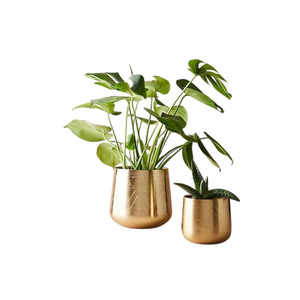 Pot de fleurs en métal de haute qualité, design moderne, doré, écologique, suspendu, pour plantes et herbes, décoration de jardin extérieur et intérieur - Product Image 3