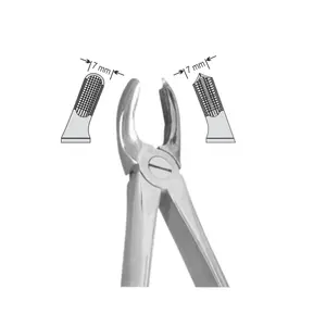 EXTRACTION FOCEPS Instrument chirurgical dentaire à motif anglais standard pour centrales supérieures et molaires supérieures-côté gauche - Product Image 1