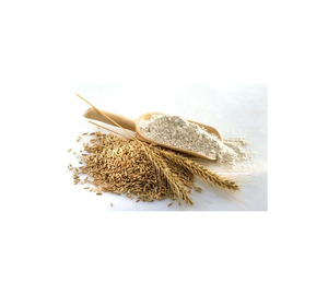 Gluten de Trigo Vital de Primera Calidad, Listo para Enviar, Venta al Por Mayor, Grado Alimenticio, Venta a Granel, Suministro de Exportación de Calidad Premium - Product Image 3