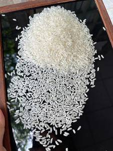 Riz blanc long grain naturel parfumé, 5% brisures, nouvelle récolte, 5 kg, en sac BOPP, prêt à l'exportation en vrac - Meilleures ventes - Product Image 3