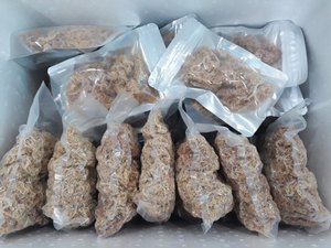Musgo Marino Orgánico Crudo Seco de Vietnam y Musgo Marino Vietnamita de Alta Concentración de Gel a Precio de Fábrica para la Industria Alimentaria - Product Image 3