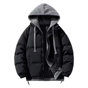 Blouson d'hiver pour homme à capuche, rembourrage épais en polyester, coupe-vent, fermeture éclair, style décontracté, couleur unie, coupe ample 2027 - Product Image 1