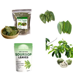 ใบทุเรียนเทศออร์แกนิก2025 100% ชาสมุนไพรออร์แกนิคจากเวียดนาม - Product Image 1