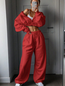 Ensemble de survêtement athleisure deux pièces pour femme OEM, coupe courte, à capuche, avec pantalon large, personnalisable, en tissu épais, zippé, style streetwear - Product Image 5