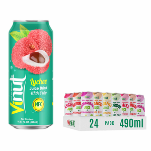 Pour VINUT 490ml Boisson de jus aromatisée sans sucre avec échantillon sans pulpe Marque privée OEM Disponible au Vietnam - Product Image 1