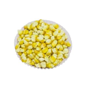 Semillas de Maíz Híbrido BCA F1 Más Vendidas, Alta Tasa de Germinación, Semillas Frescas de Jember de Indonesia, 6 Meses de Vida Útil - Product Image 5