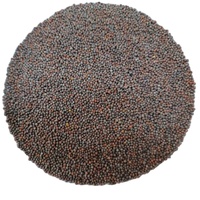 Usine directe herbes simples épices matière première de graine de moutarde séchée pour graine de moutarde de haute qualité de seigle