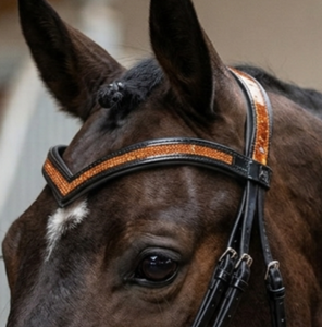 Fabricant de bridons de dressage sur mesure OEM en cuir de vachette anatomique élégant, rembourrés et doux, avec serre-nez et frontale larges à paillettes - Product Image 5