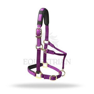 Harnais de cheval en nylon rembourré, réglable et confortable, collier équestre - Product Image 3