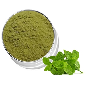 OEM/ODM Polvo de Hoja de Menta 100% Puro y Natural, Polvo de Hojas de Menta Secas 100% Puro, Polvo de Menta Molido Fino de Primera Calidad - Product Image 1