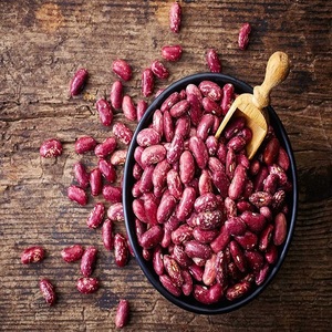 Precio de Fábrica, Frijoles Rojos Orgánicos con Alto Contenido Nutricional, Suministro a Granel del Reino Unido para Producción de Alimentos y Mercados de Exportación - Product Image 1