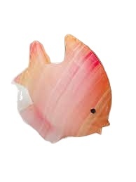 Poisson Onyx Arc-en-ciel Premium, Poisson Tropical Vivant pour Aquarium, Poisson Exotique Coloré pour la Décoration d'Aquarium Domestique - Product Image 4
