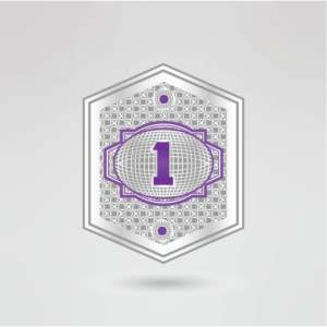 Ceinture de championnat de lutte mondiale KTW, sangle noire, plaque centrale en métal violet et doré, personnalisable, Huzaim Elite - Product Image 4